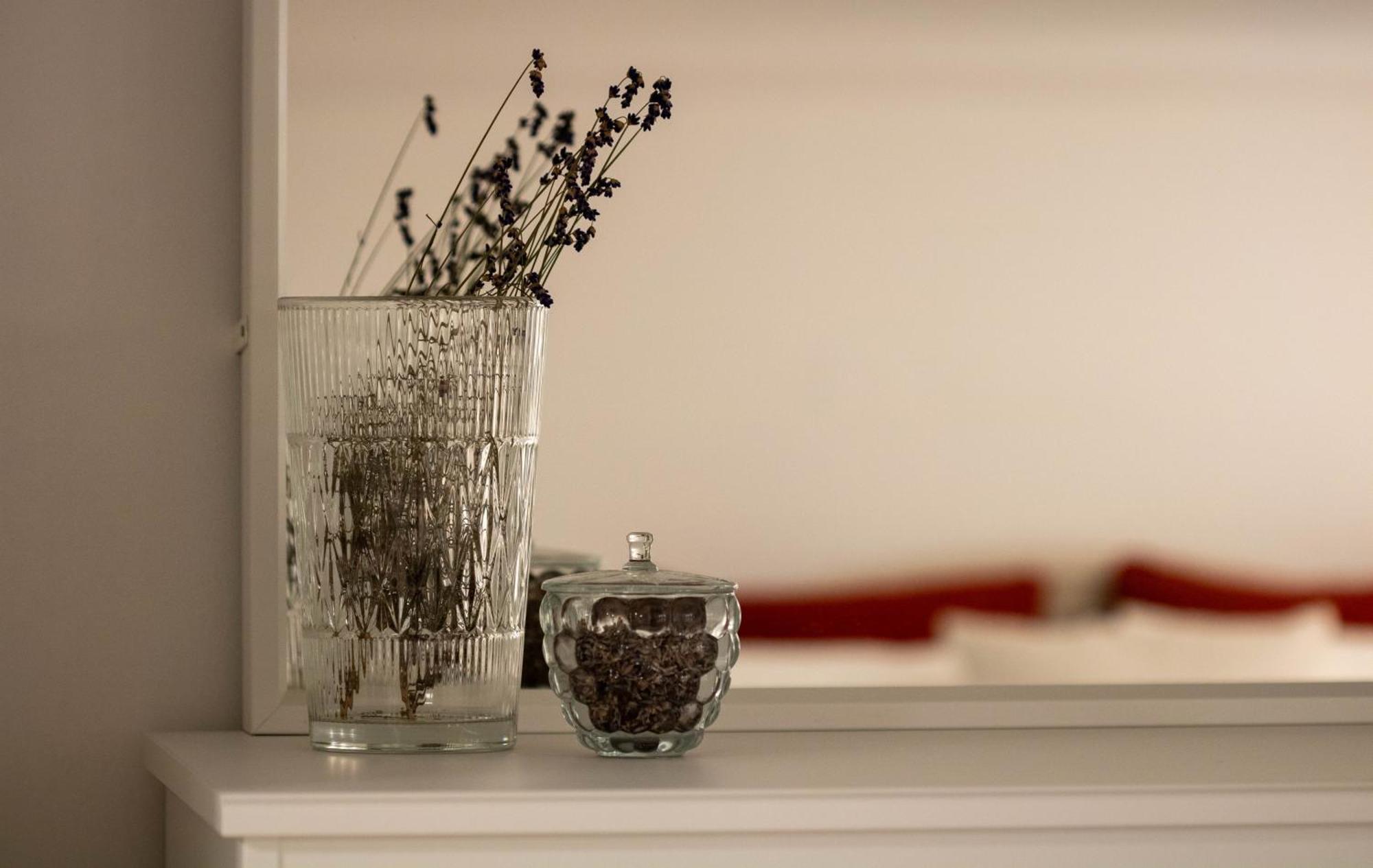 Jane'S Place, Experience The Atmosphere Of A Historic Villa & Free Parking Laibach Exterior foto